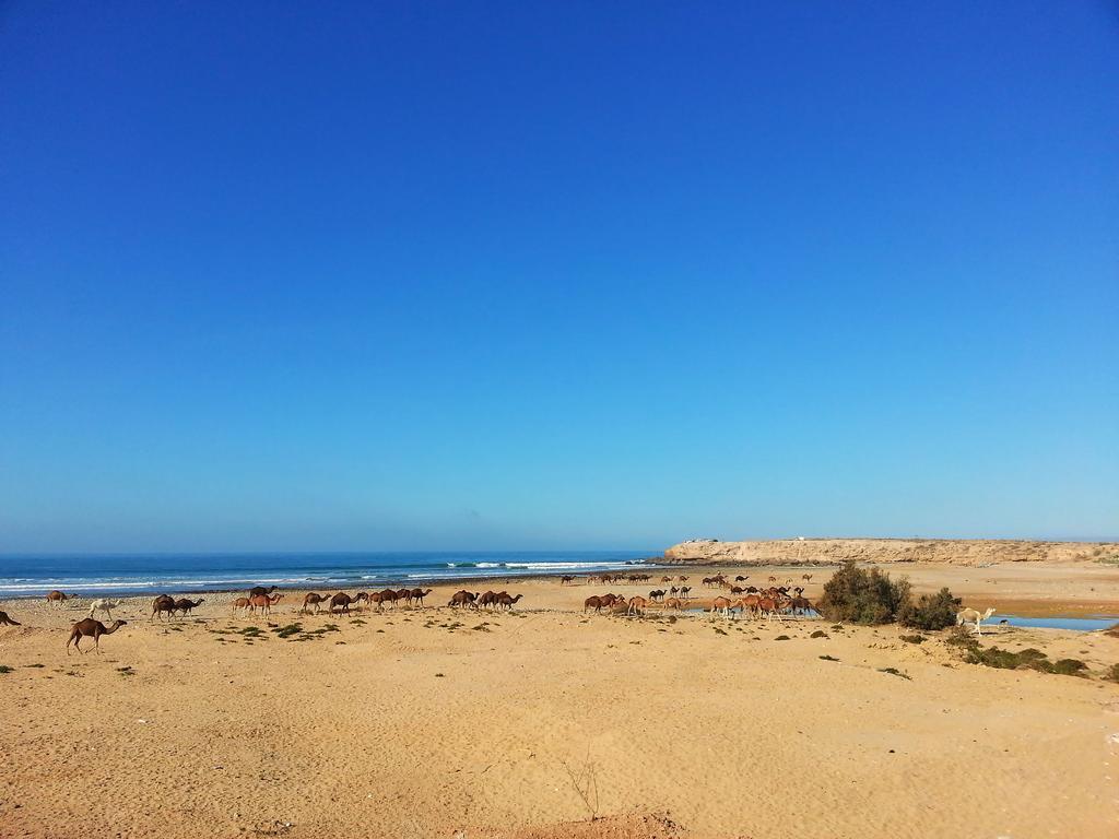 فندق أوريرفي  Zen Surf Beach House المظهر الخارجي الصورة
